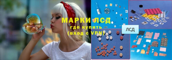 трава Белокуриха