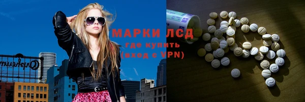 трава Белокуриха
