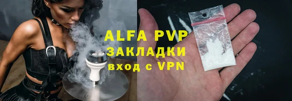 трава Белокуриха