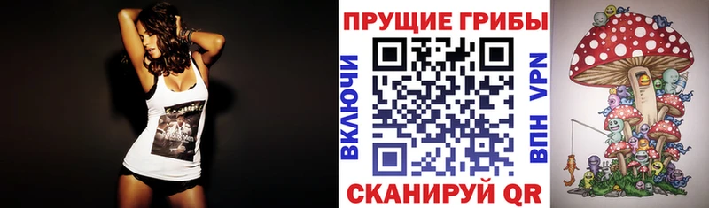 купить наркотик  Судогда  KRAKEN как зайти  Псилоцибиновые грибы мицелий 
